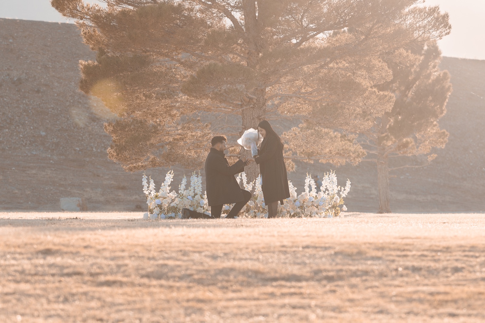 A surprise proposal beneath a golden tree