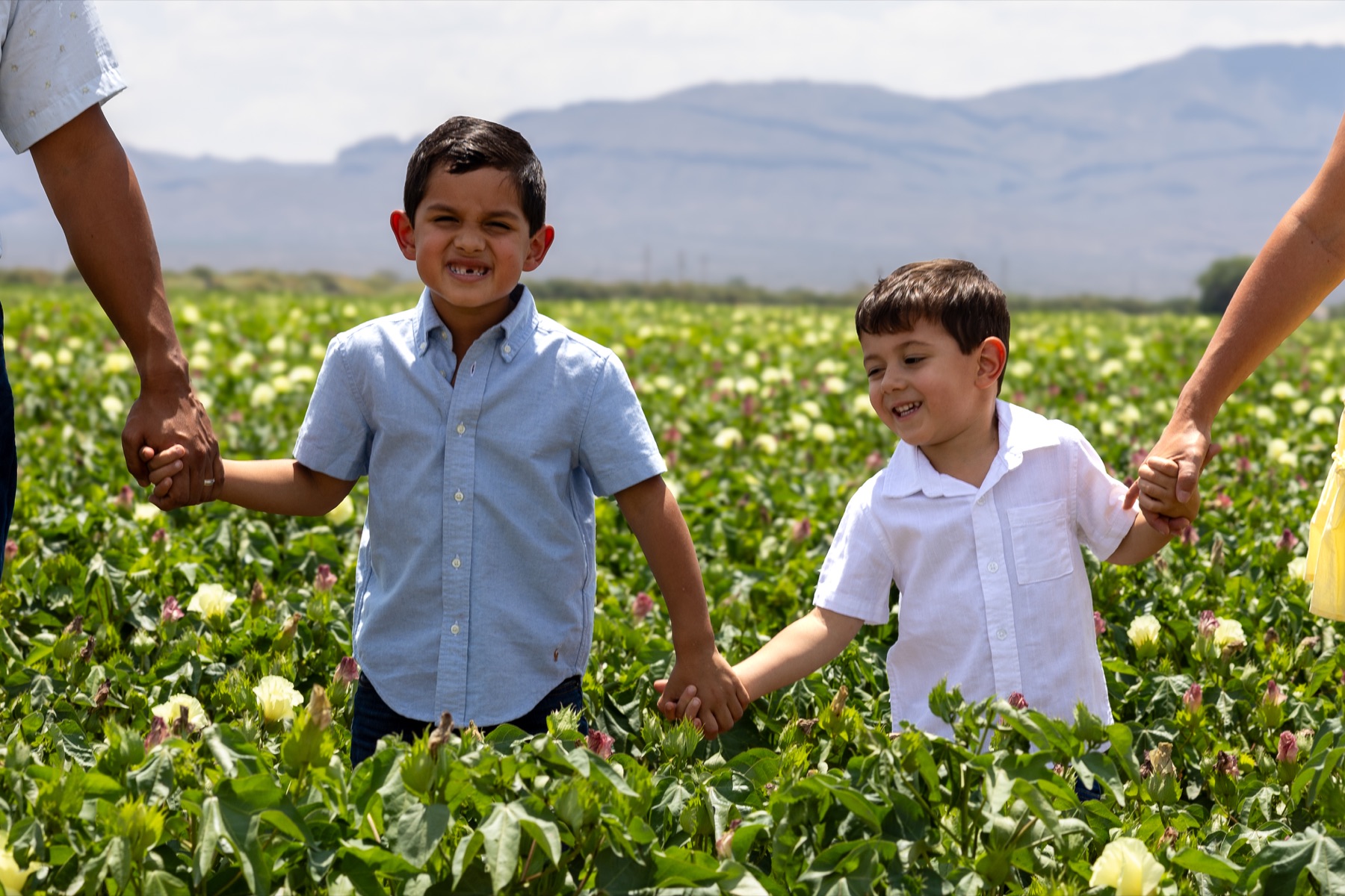 Two brothers holding hands with their parents in a green field